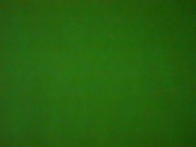 Colour sample of green tissue paper