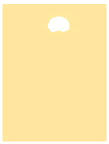 ivory polythene carrier bag