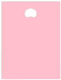 pink polythene carrier bag