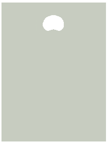 silver polythene carrier bag