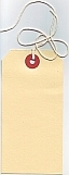 Picture of a manilla strung tag